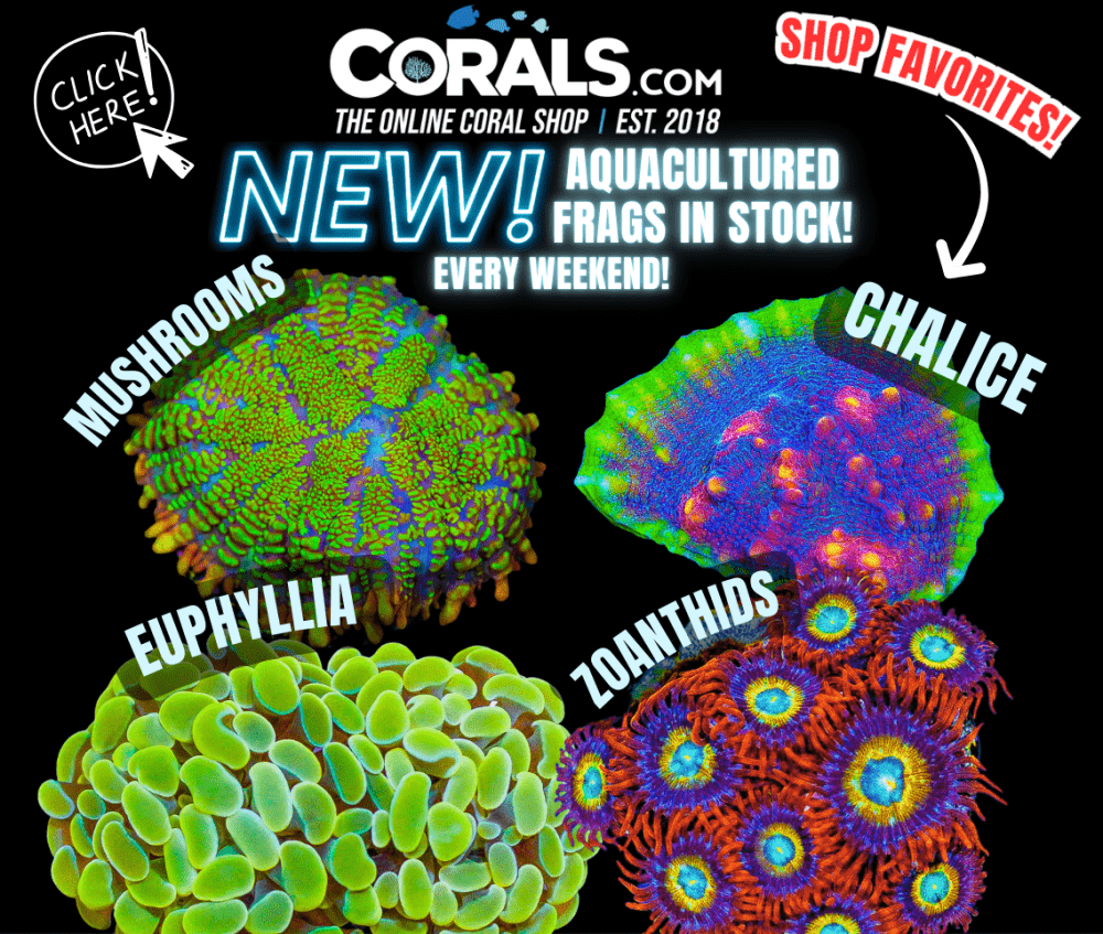 new aquaculture(17).png