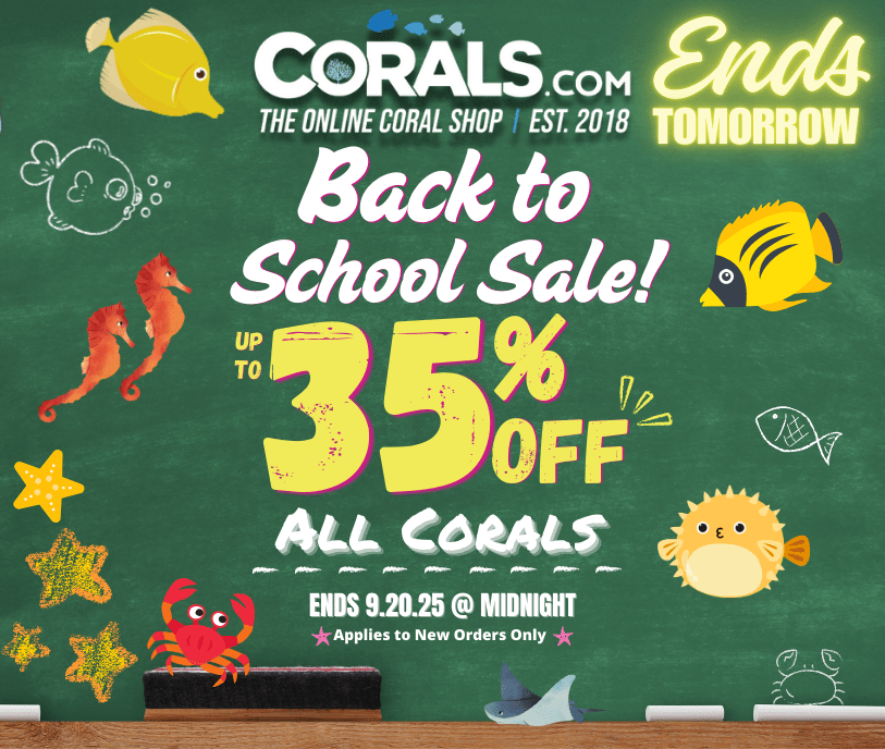 Back to school 2025.png
