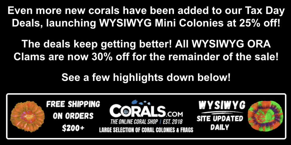 Screenshot 2026-04-17 at 11.59.31 AM.png