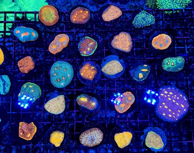 IMG_9635 Medium.jpeg