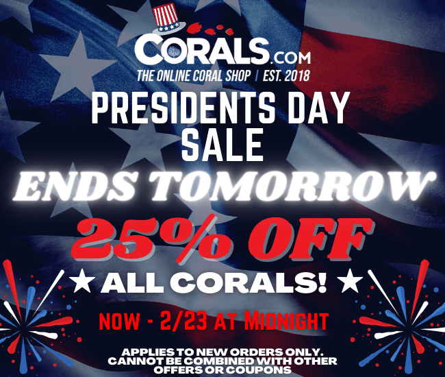 Presidents Day(1).png Presidents Day(1).png