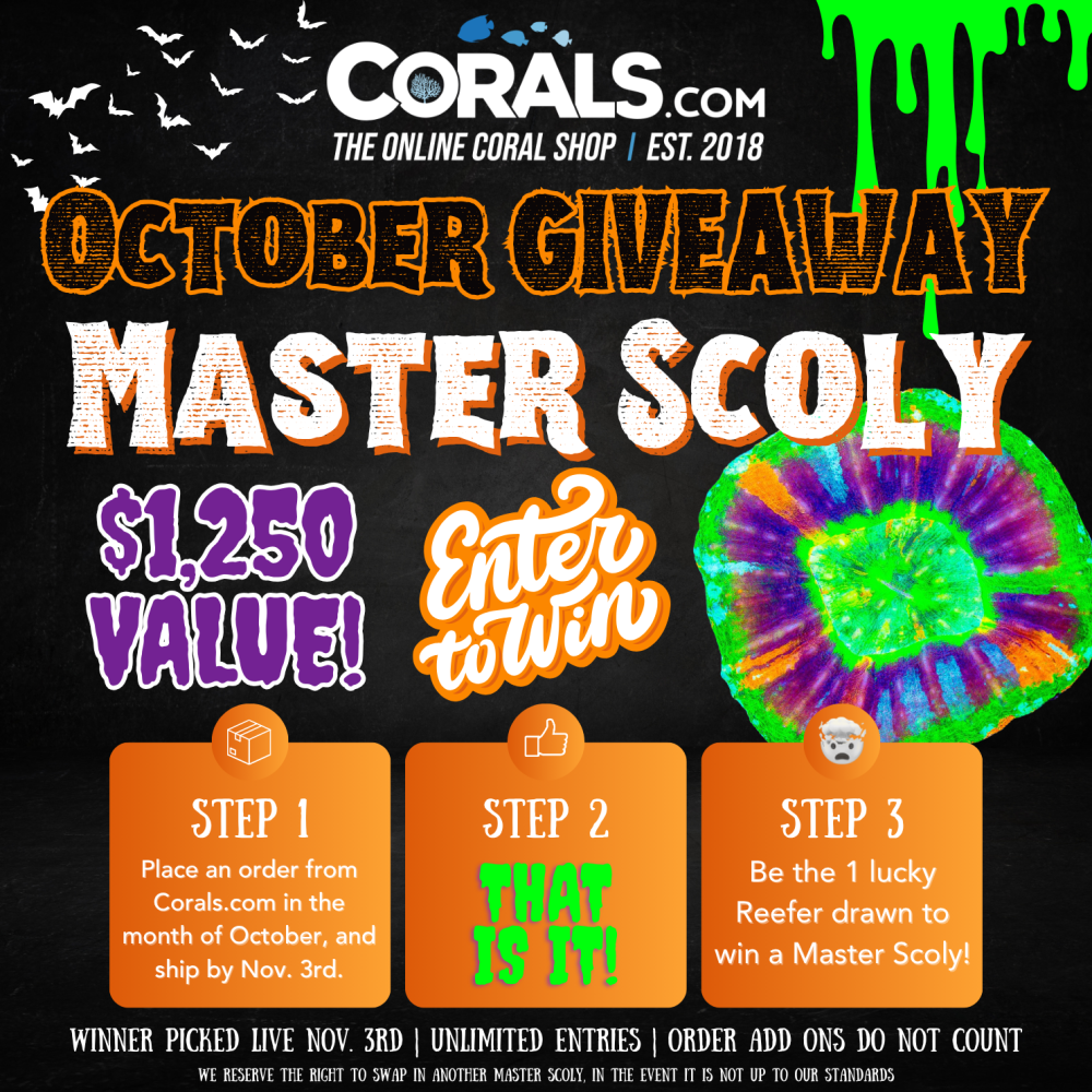 Master Scoly Giveaway(1).png