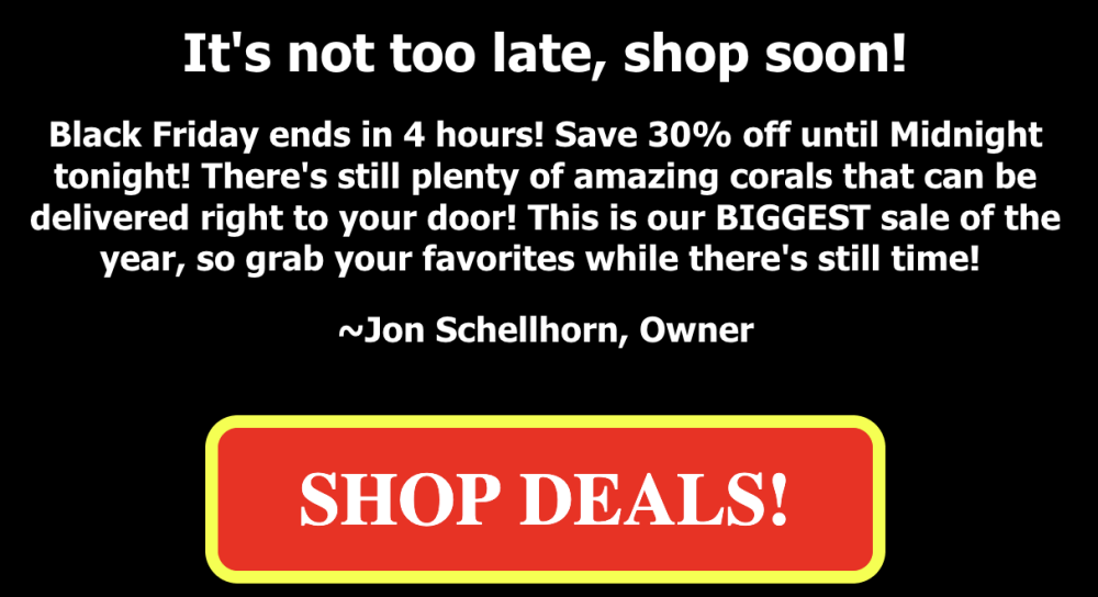 Screenshot 2025-11-28 at 7.36.59 AM.png