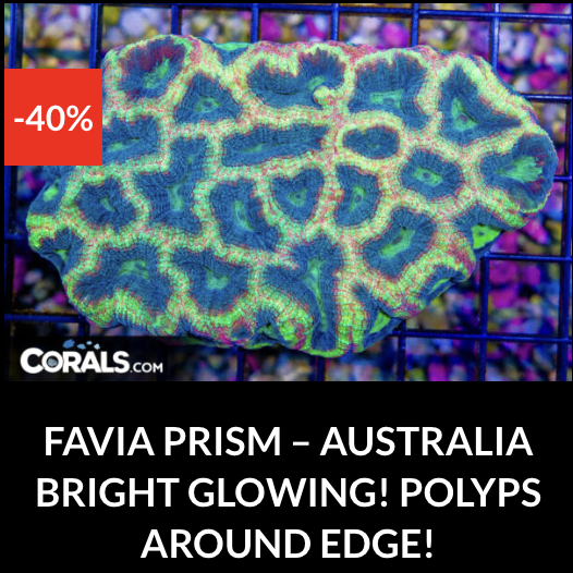 Screenshot 2025-12-28 at 9.52.02 AM.png