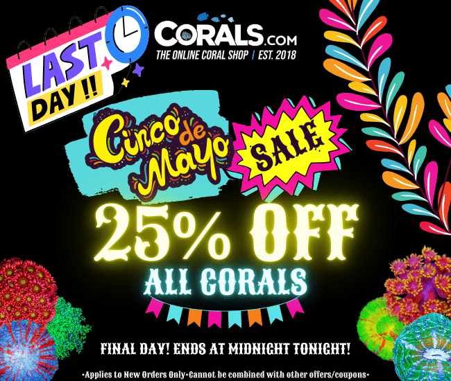 FINAL Day Left Cinco.png