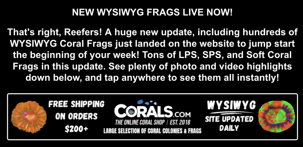 Screenshot 2026-01-12 at 1.37.53 PM.png