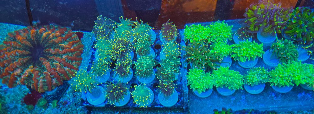 2025-11-28 15.30.43.jpg