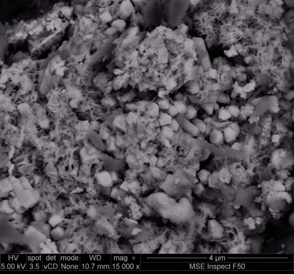 SEM 15000x.jpeg SEM 15000x.jpeg