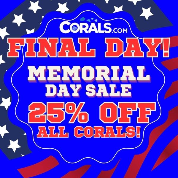 Copy of Copy of Memorial Day Monday 2 Days left!(2).jpg