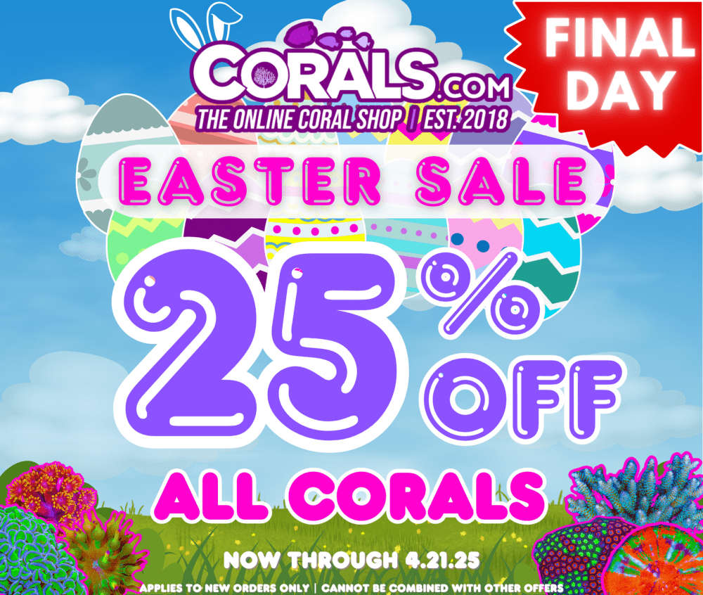 Easter Sale 2025(3).png