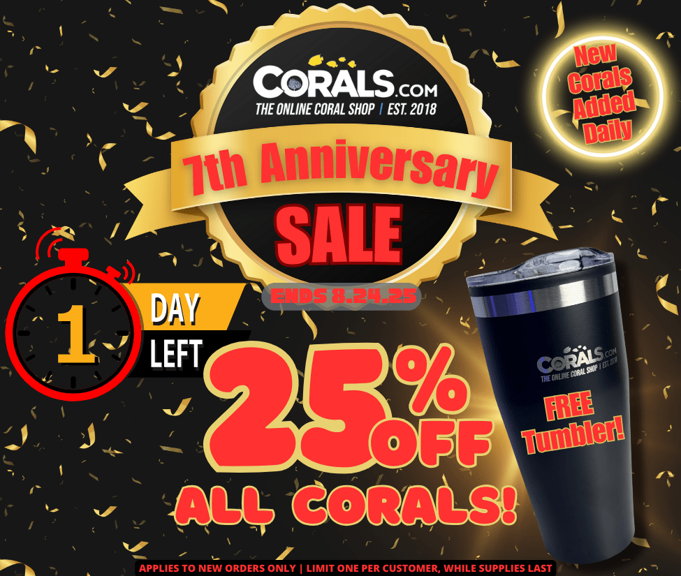 1 Day Left Anniversary Sale 2025.png