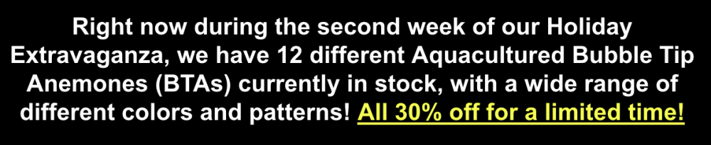 Screenshot 2025-12-12 at 1.42.29 PM.png