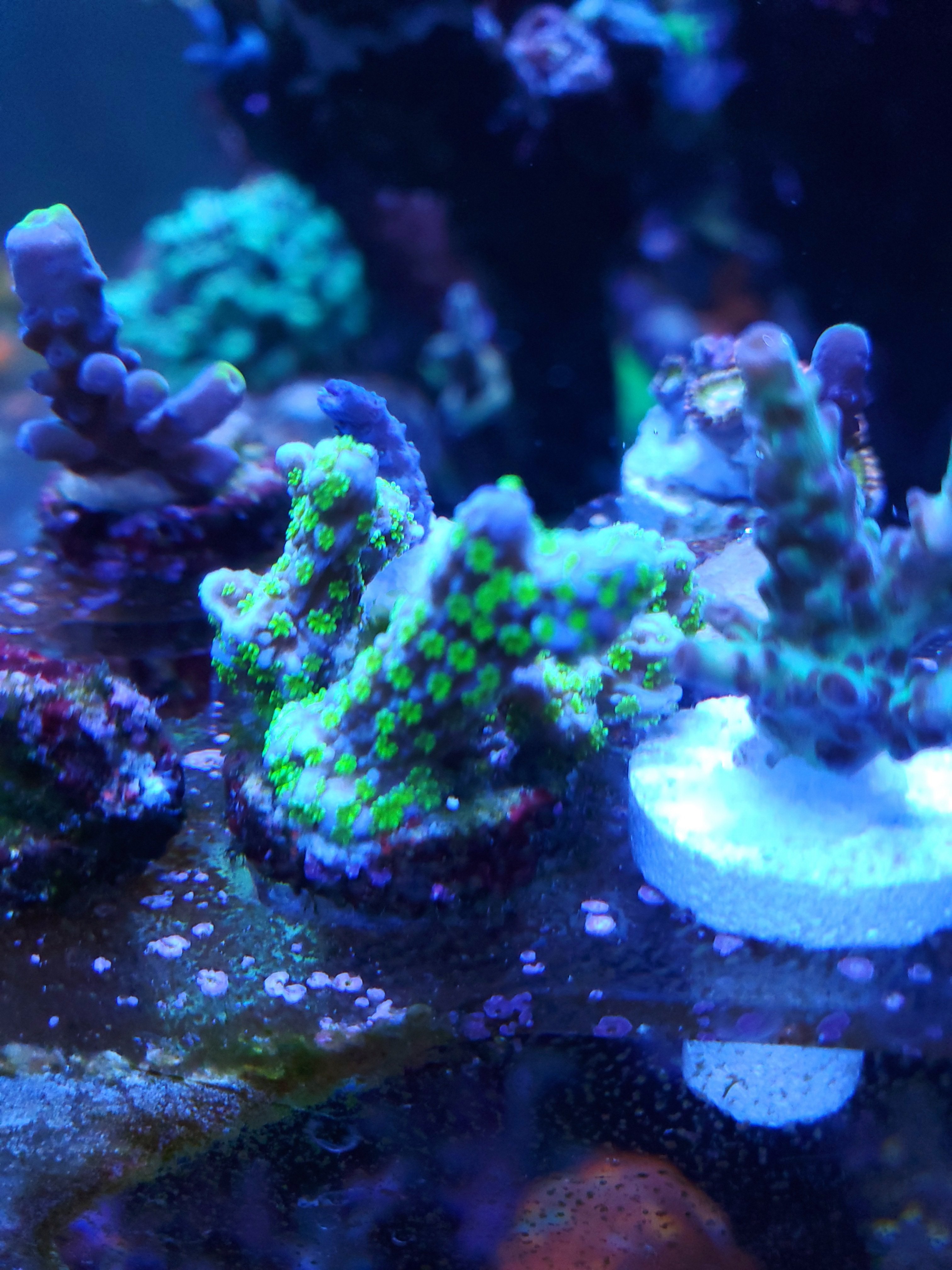 20210110_152953.jpg