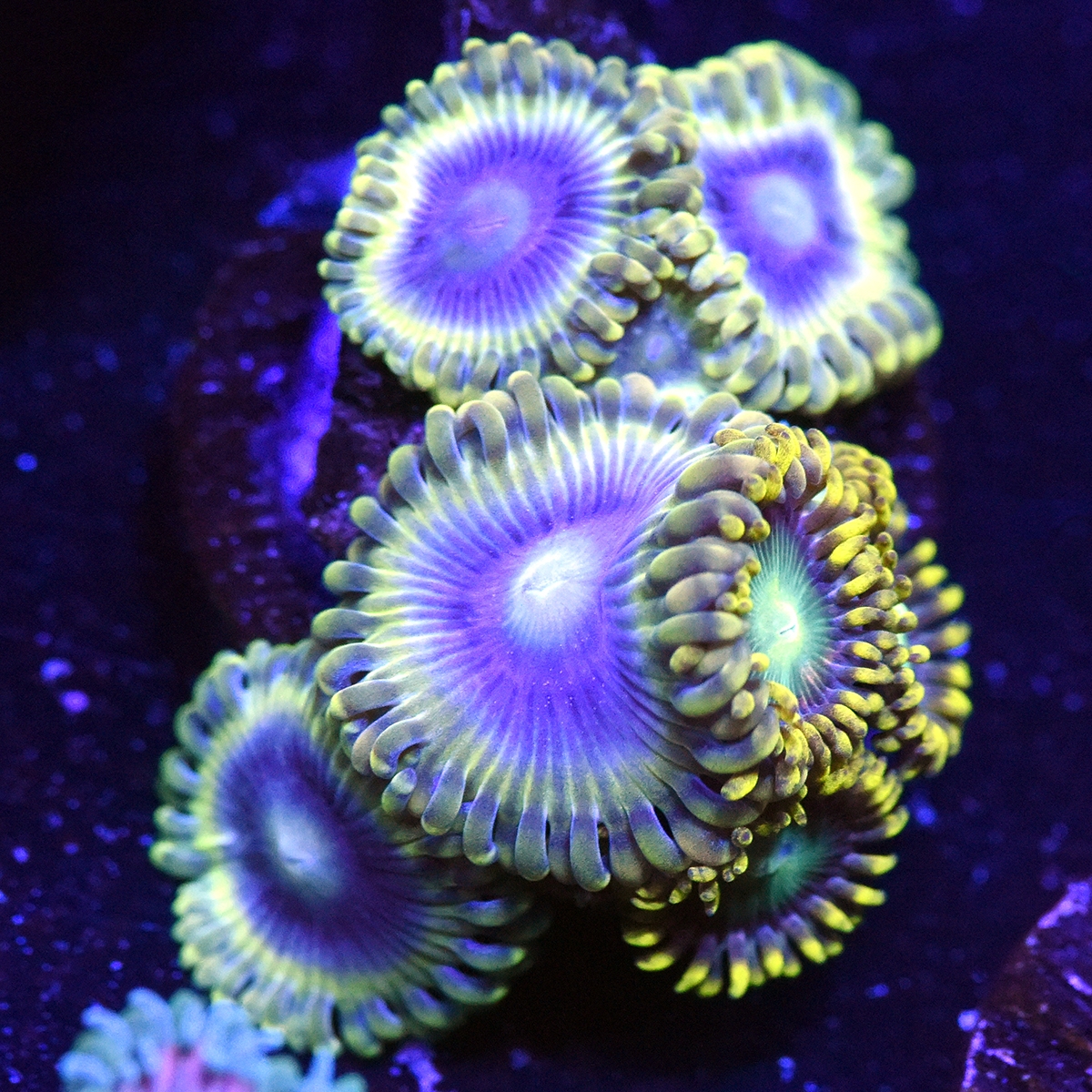 DSC_5053.JPG