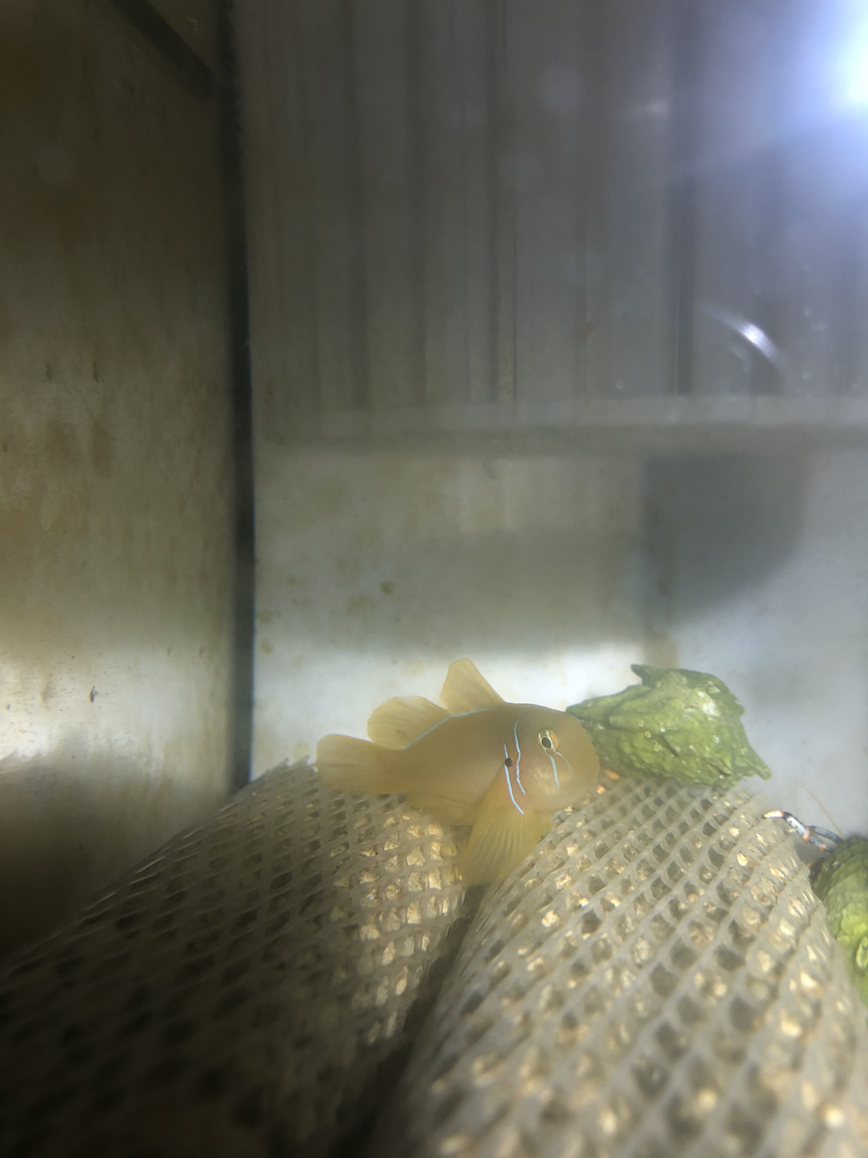 IMG_5596.jpeg IMG_5596.jpeg