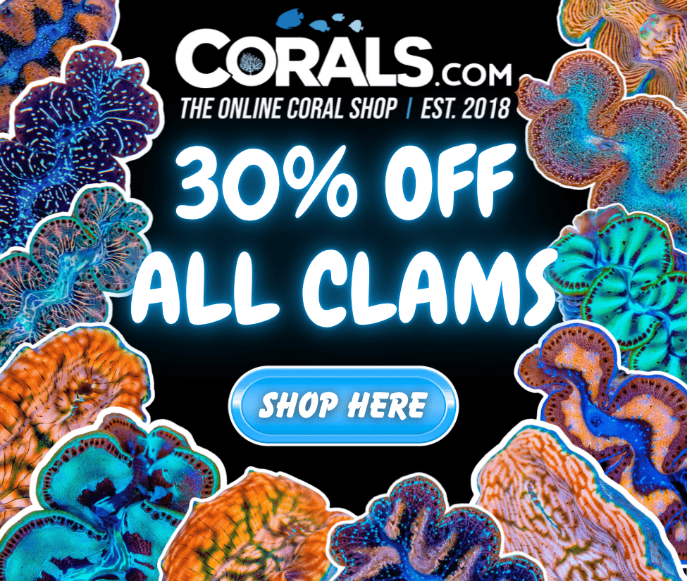clams 30_ off(1).png