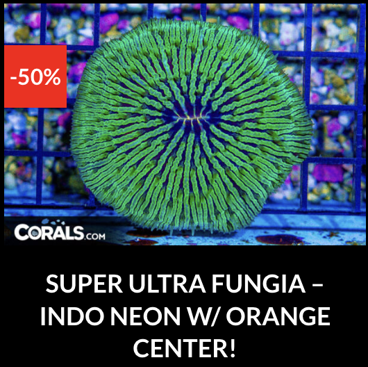 Screenshot 2025-12-28 at 9.51.17 AM.png