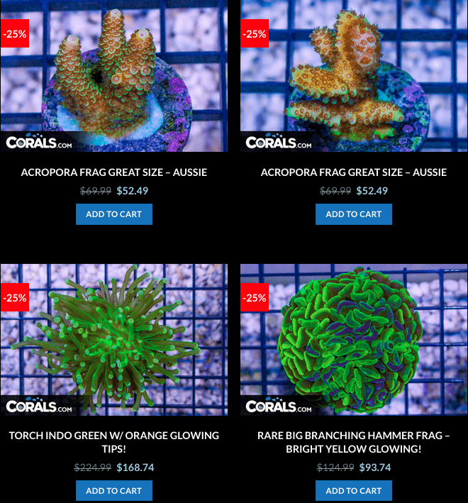 Screen Shot 2023-01-24 at 9.05.27 AM.png