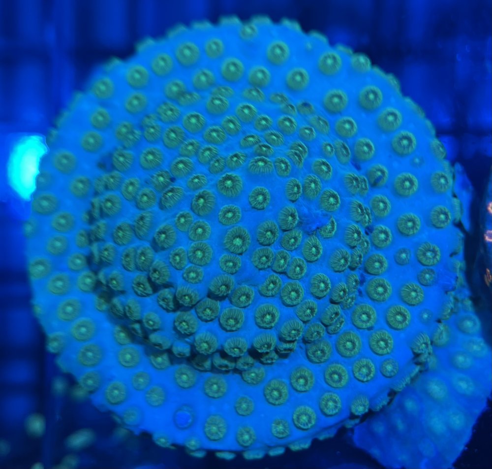 9F89C6E2-DF1B-49C8-BDC8-5C6A252D5501.jpeg
