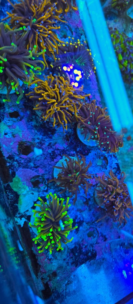 2025-11-28 15.30.29.jpg