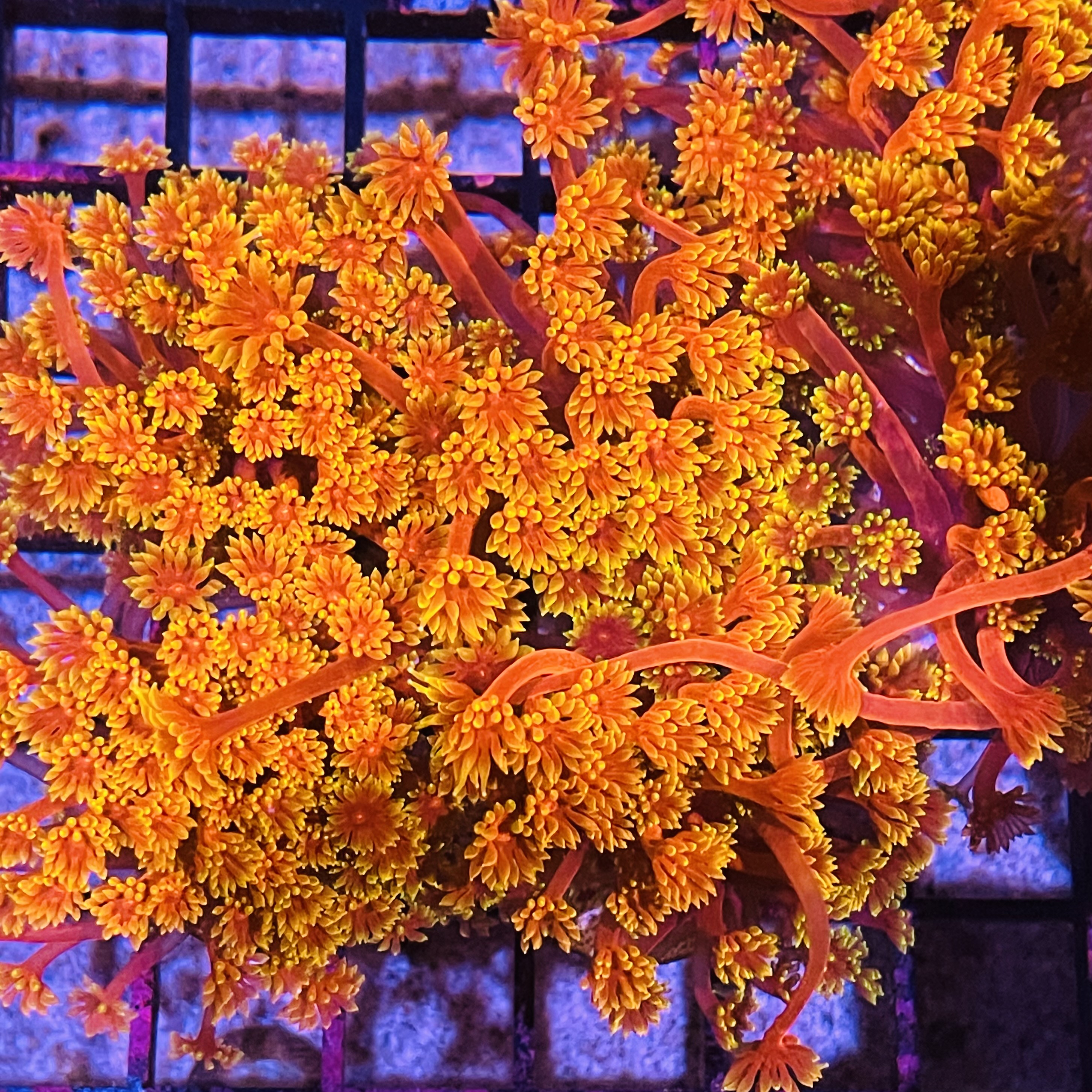 IMG_0783.jpg