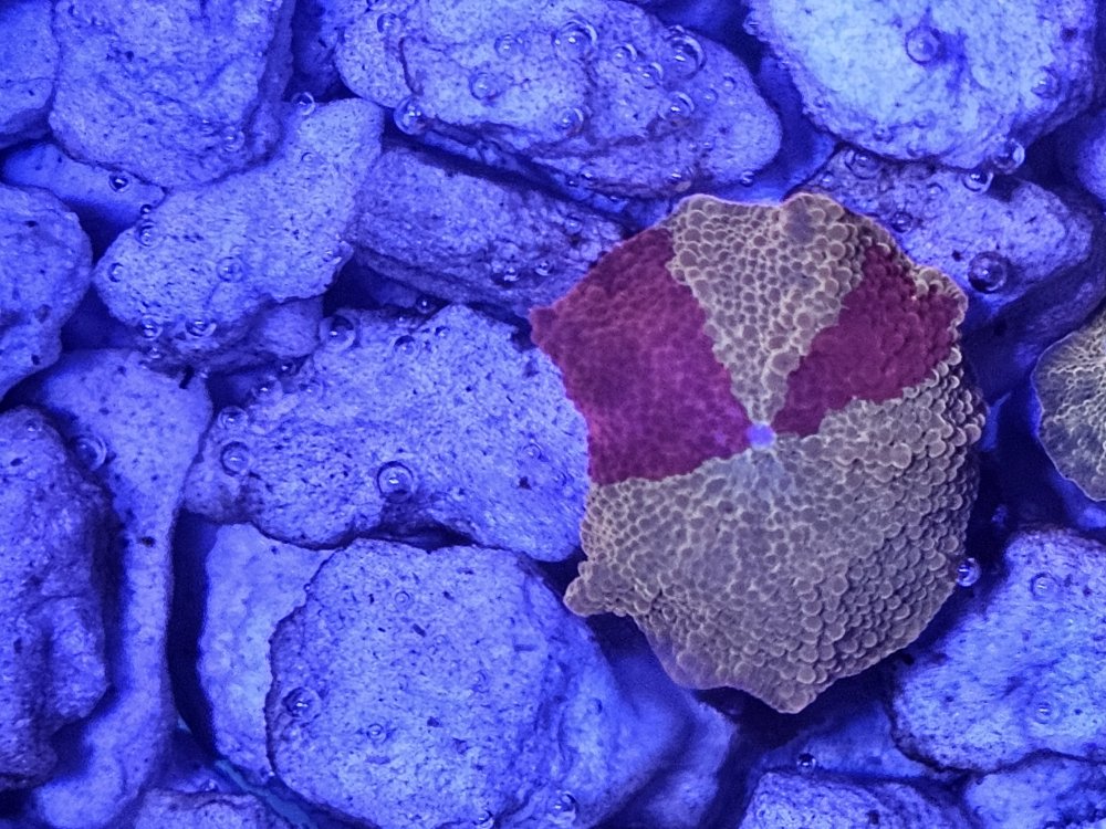 1000026221.jpg 1000026221.jpg