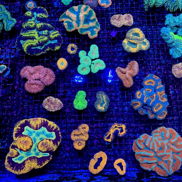 IMG_9625 Medium.jpeg