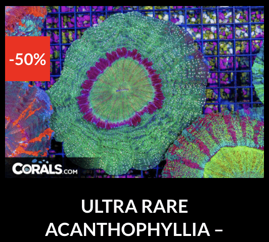 Screenshot 2026-04-10 at 10.58.26 PM.png