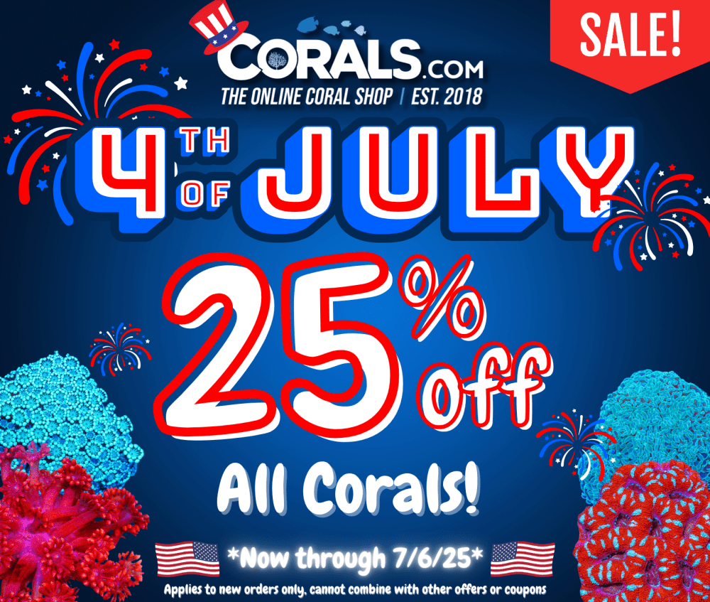 Fourth of July 2025.png