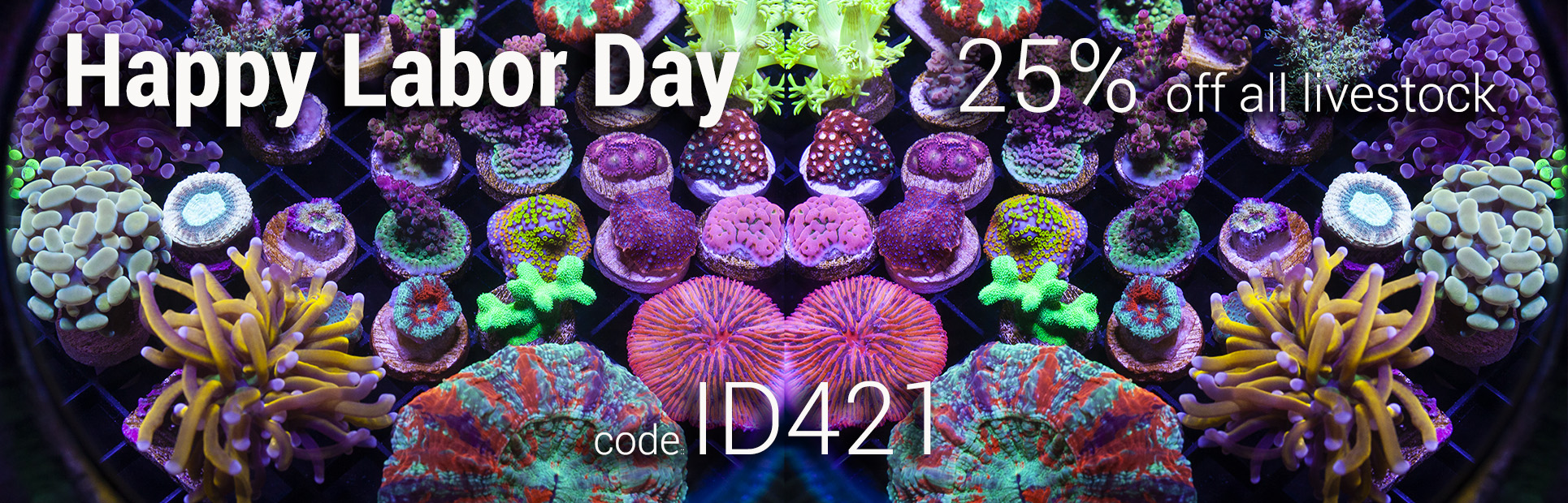 ID421-labor-day-sale.jpg