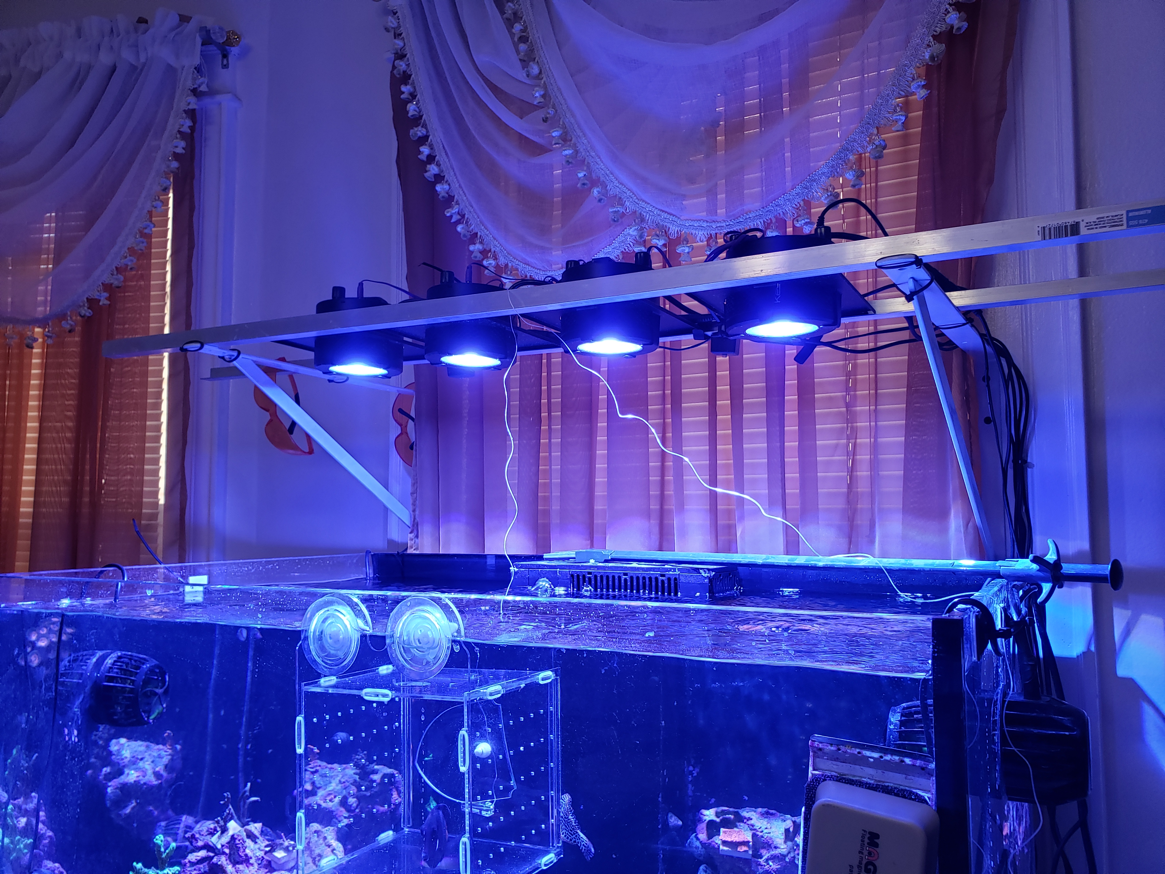 20201227_150313.jpg