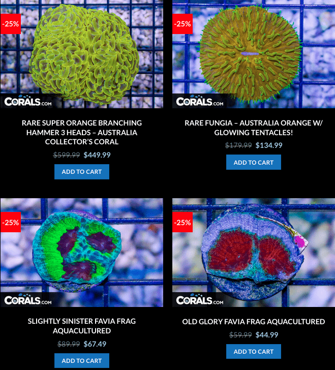 Screen Shot 2023-01-24 at 9.04.12 AM.png