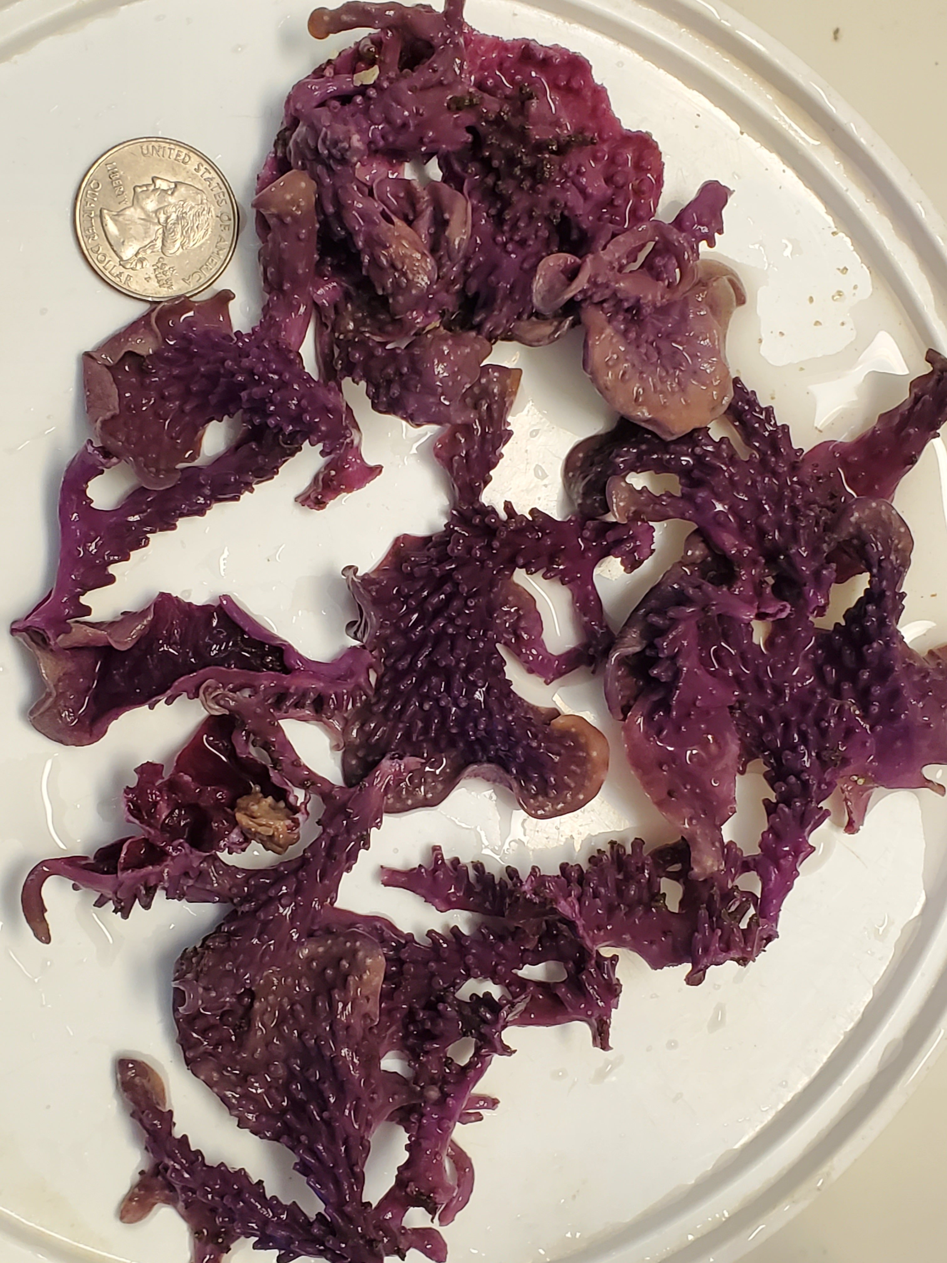 20201217_135239.jpg