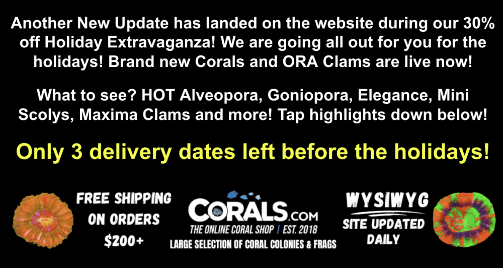 Screenshot 2025-12-16 at 11.45.57 AM.png