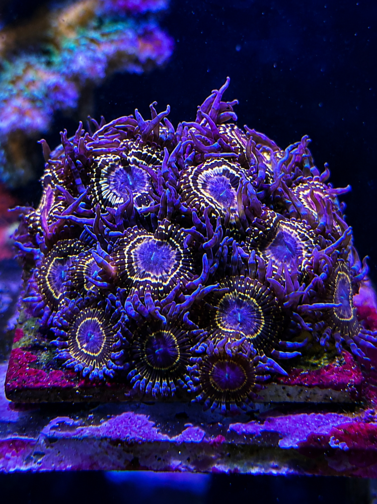 8149C207-836F-4D94-8836-F94598B7B6E8.png