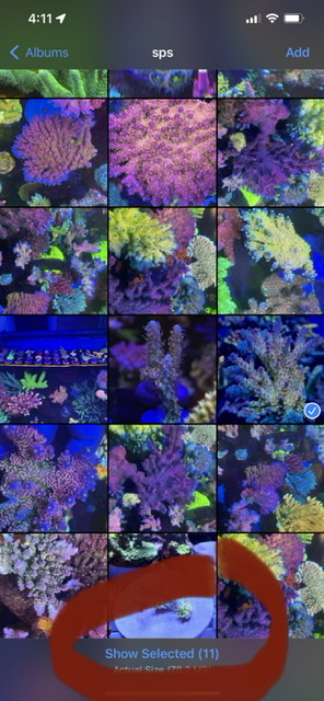 0D51502A-6745-4ED4-9476-95EDBEABB48A.jpeg