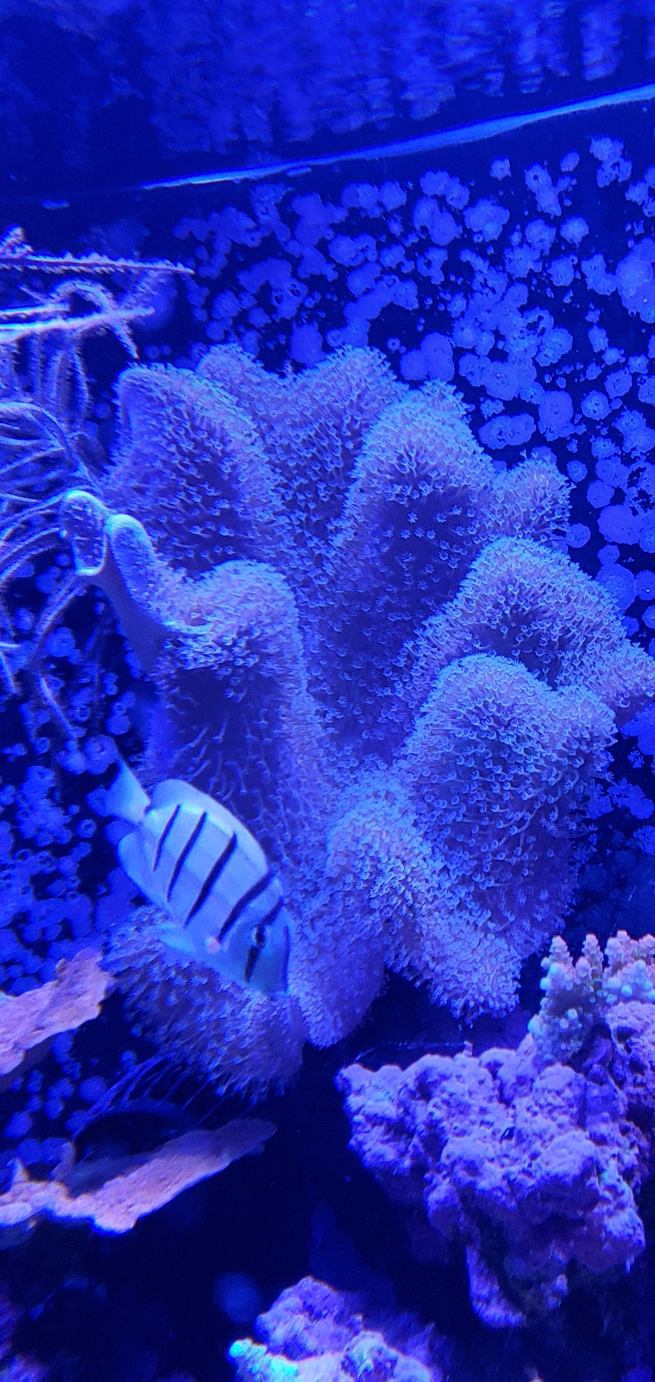 20210404_202712.jpg