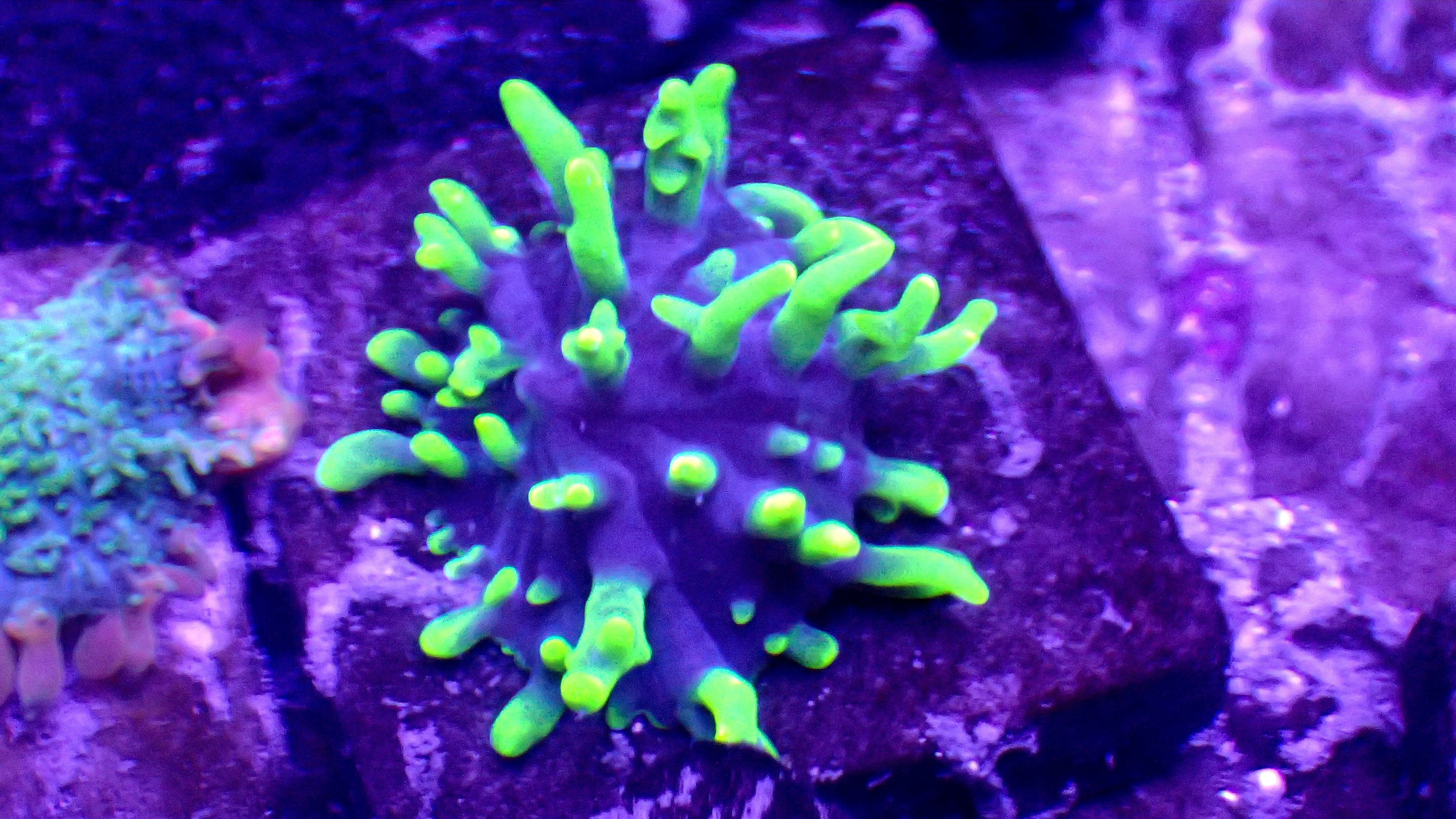 OI000036.JPG