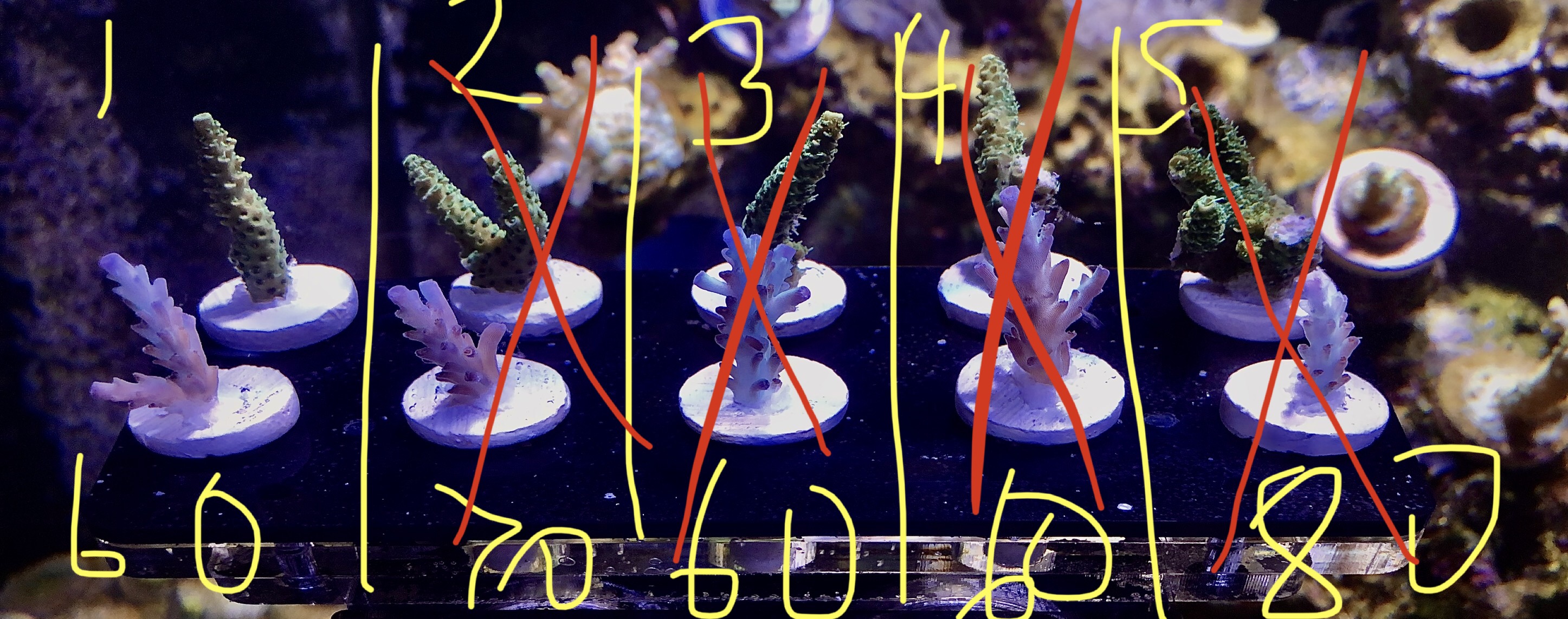 B38D368D-E050-485A-AB6E-636015D18A5E.jpeg