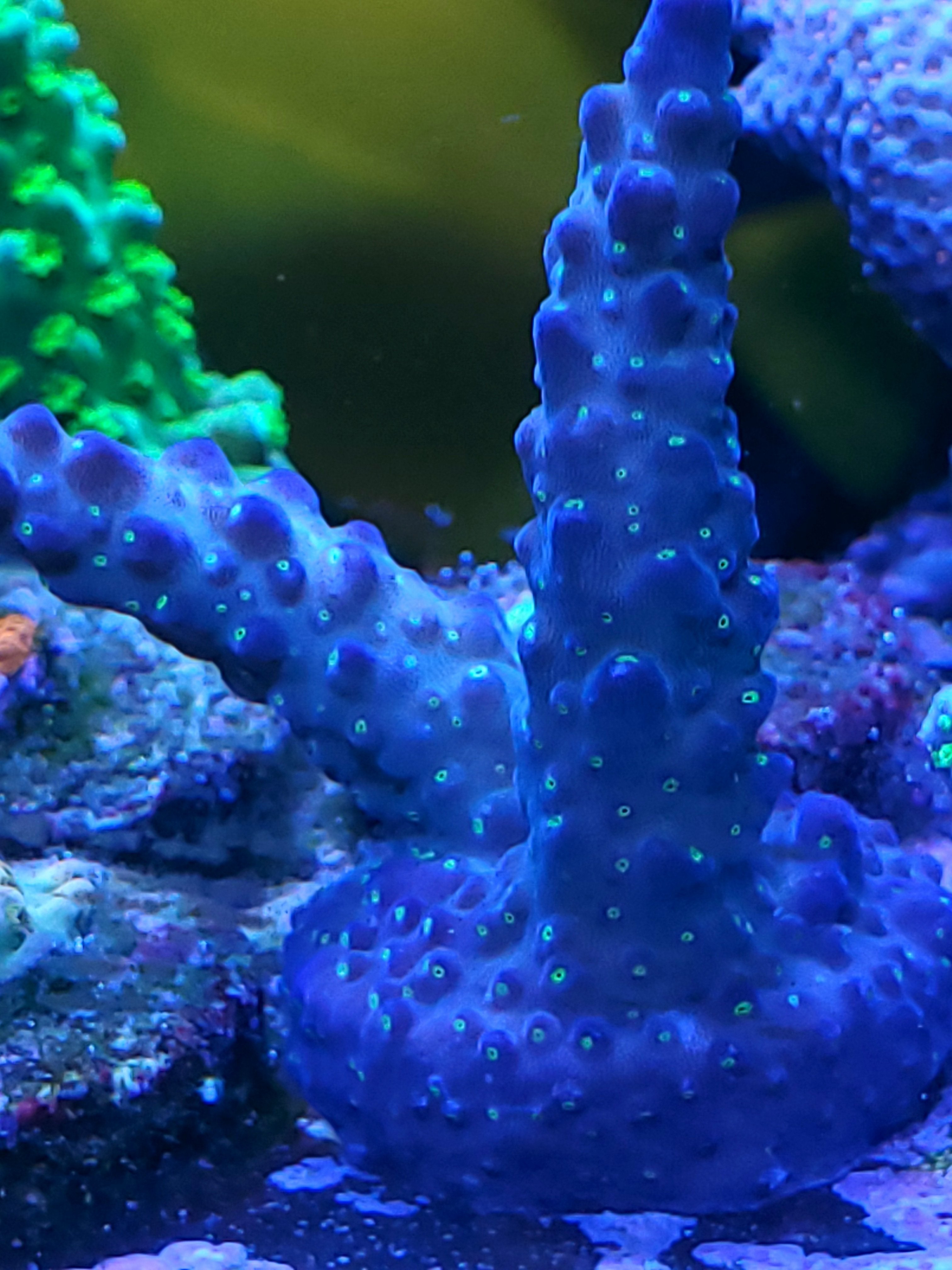 20201124_180924.jpg