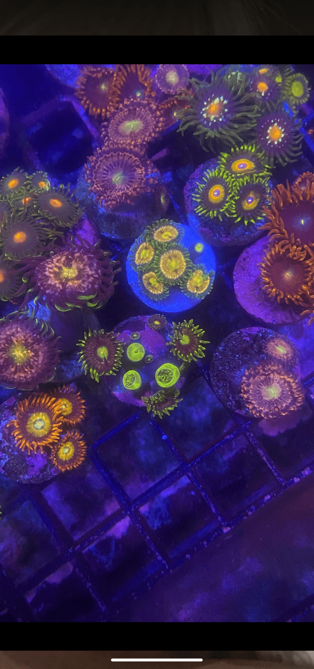 Screenshot_20201123-201145.png