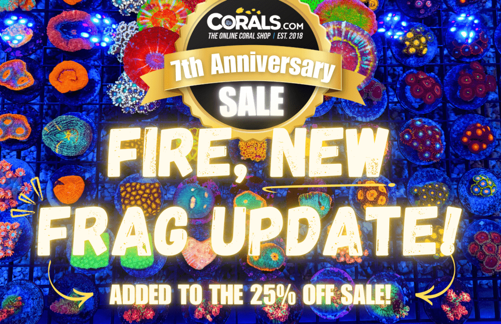 New Frag Graphic(1).png