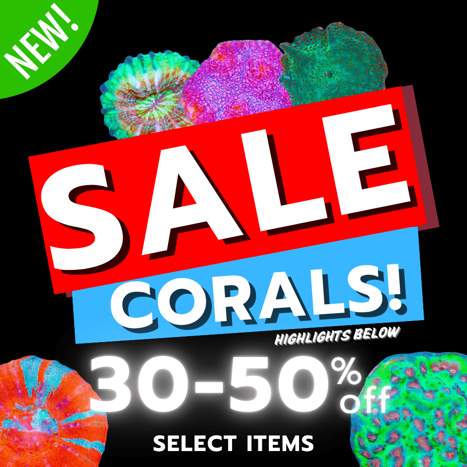 sale poster(19).png