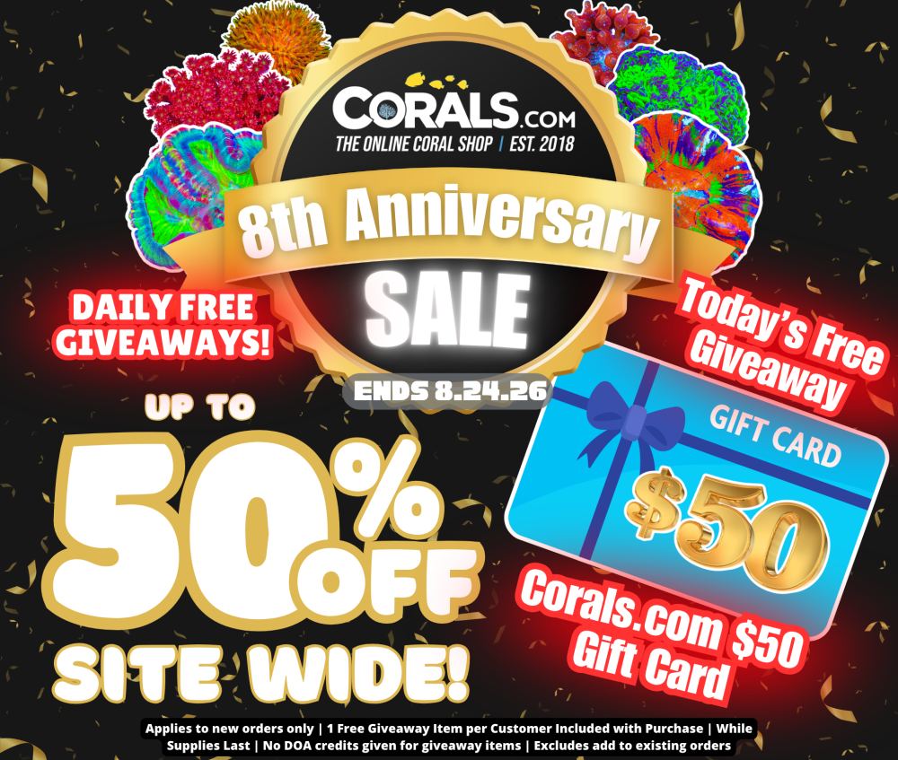 Anniversary Sale 2026(3).png