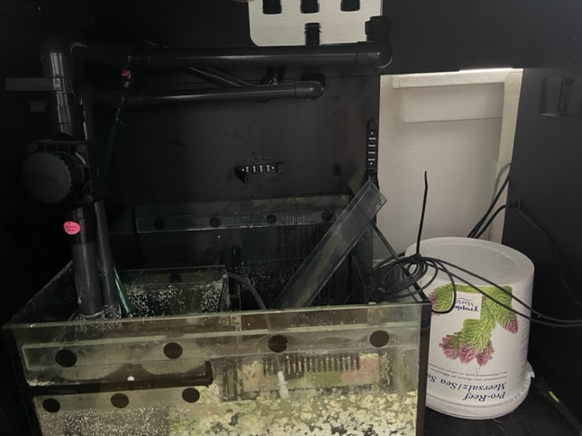 IMG_0676.jpeg