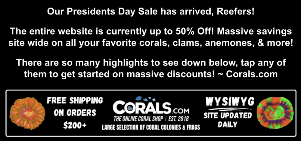 Screenshot 2026-02-16 at 2.16.28 PM.png