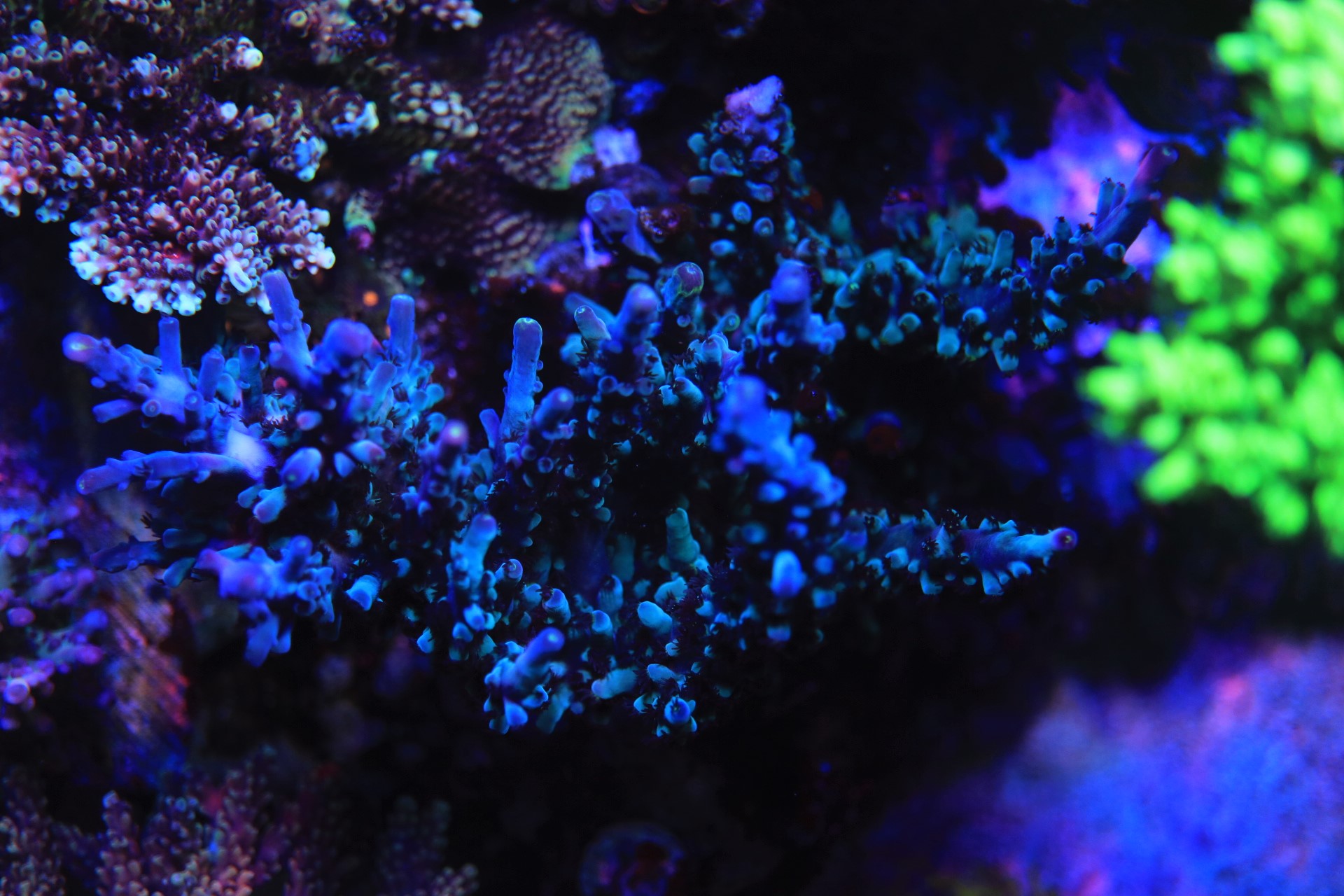 3BC9E567-1937-49CD-A803-31ADE9F50620.jpeg
