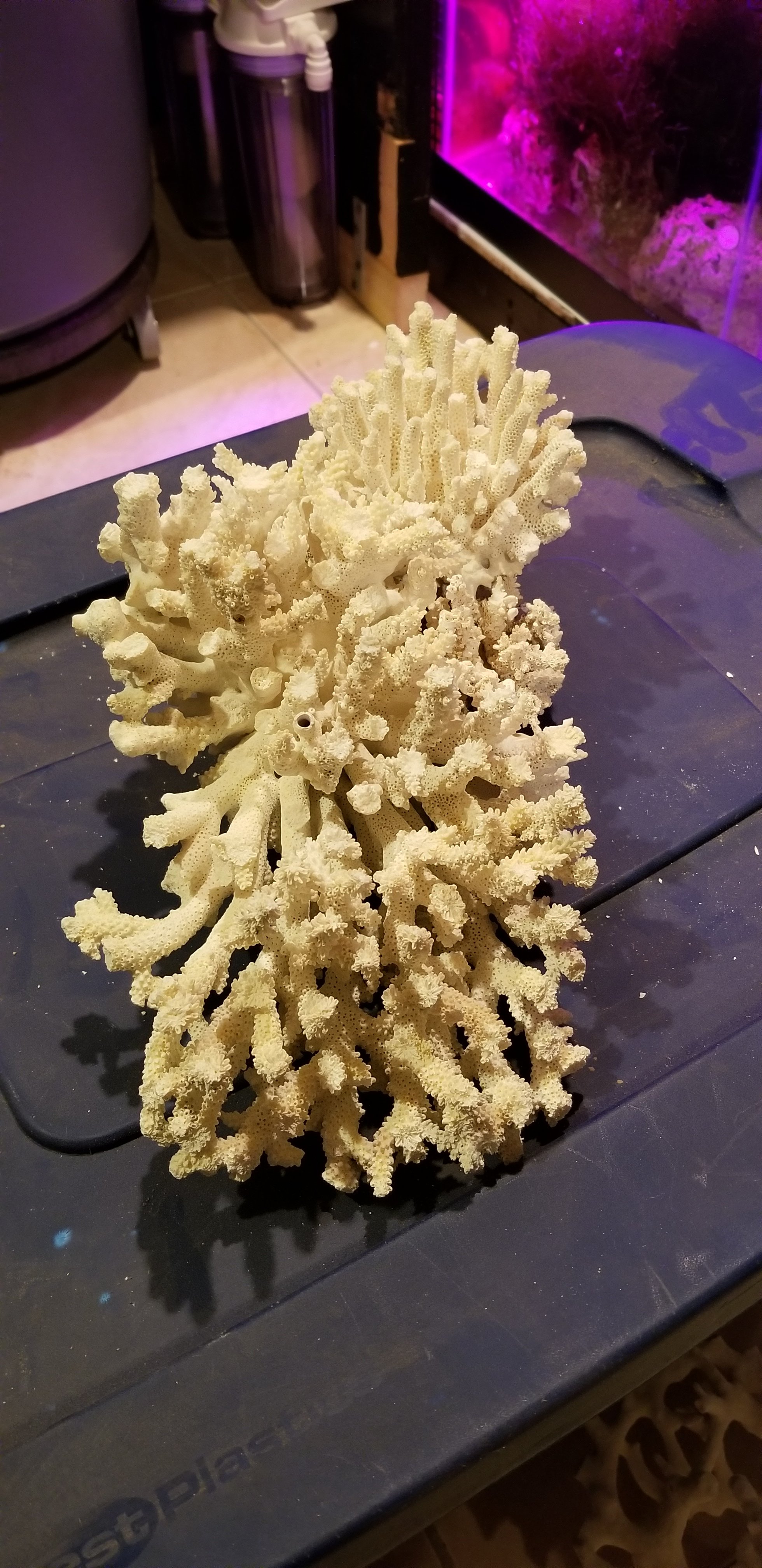 20201220_232452.jpg