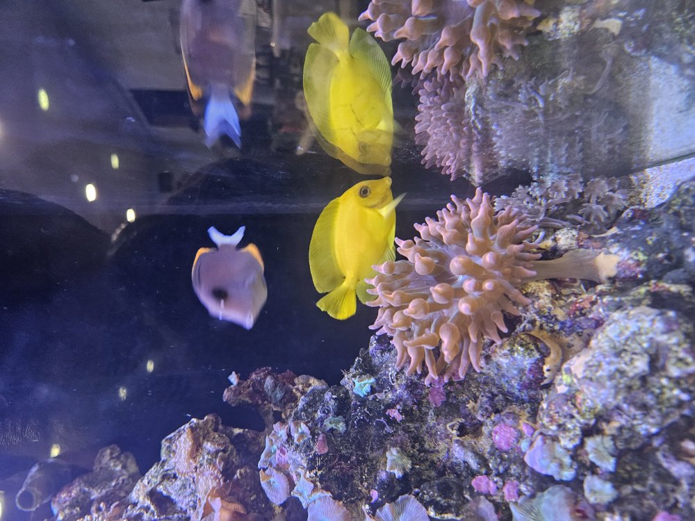 20260428_162627.jpg