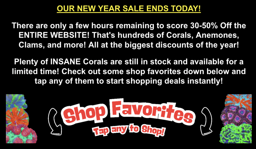 Screenshot 2026-01-07 at 10.42.03 AM.png